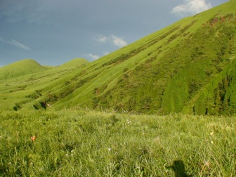 c0077338_657033.jpg