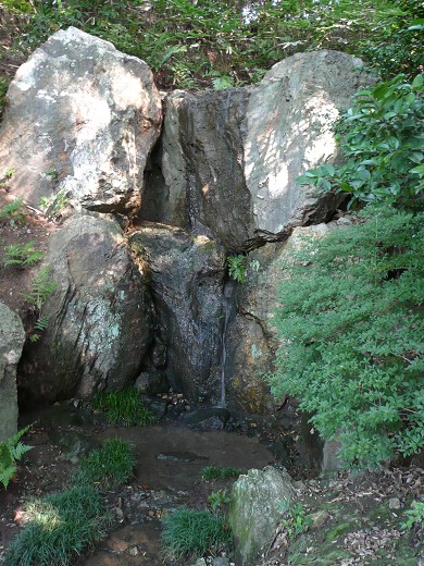 c0057946_16264310.jpg
