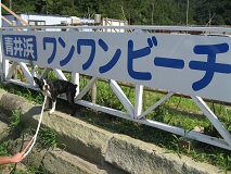e0126046_22414511.jpg