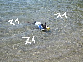 e0126046_2311782.jpg