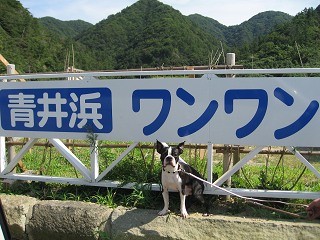 e0126046_23402569.jpg