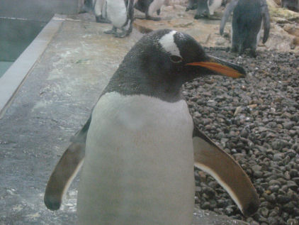 c0073649_2265638.jpg