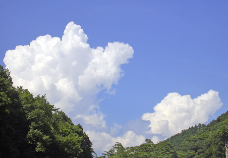 a0001354_22202721.jpg
