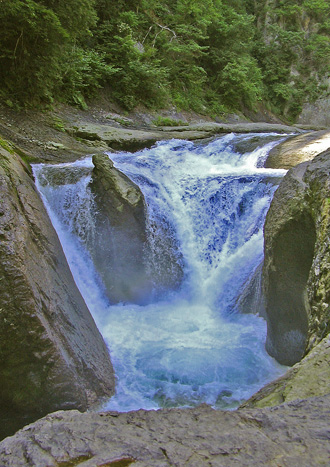 a0001354_22281388.jpg