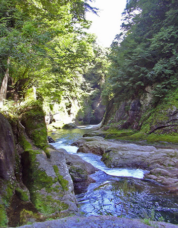 a0001354_22292791.jpg