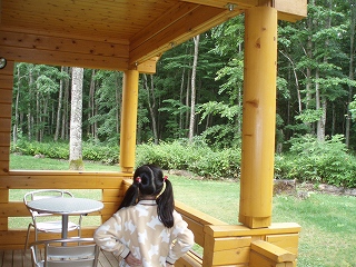 e0004756_20163439.jpg