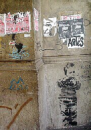 a0073360_20155048.jpg