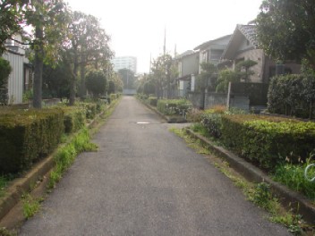 b0061261_21254768.jpg