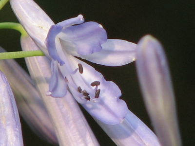 d0050472_20542522.jpg