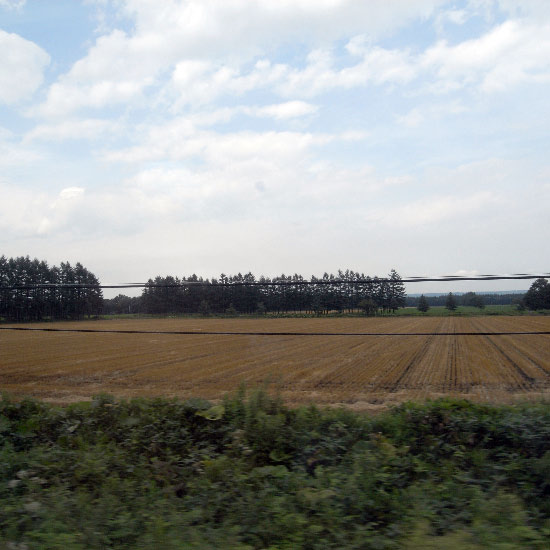e0100772_2324831.jpg
