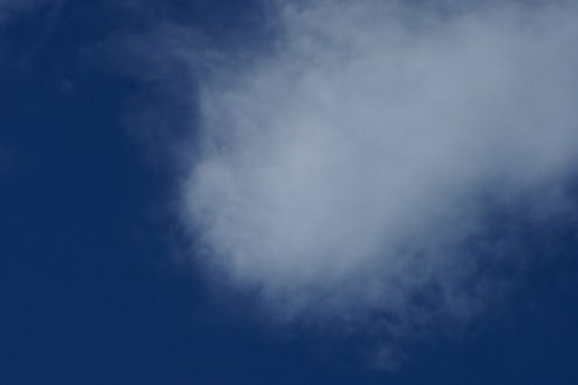 d0079278_1753276.jpg