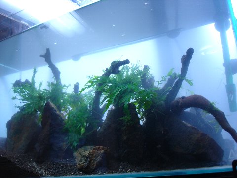 f0087479_0382674.jpg