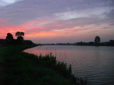 c0078480_013693.jpg