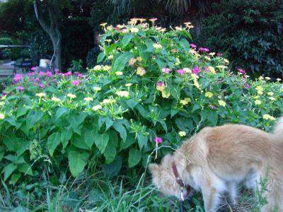 c0078480_016345.jpg