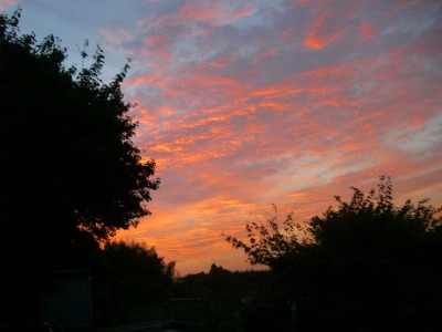 c0078480_052455.jpg