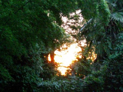 c0078480_09948.jpg