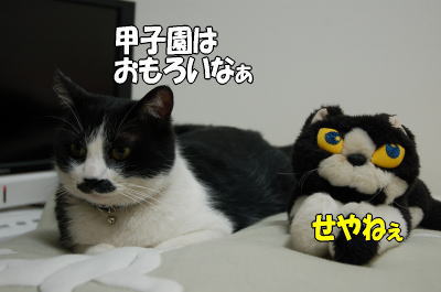 b0041182_23135780.jpg