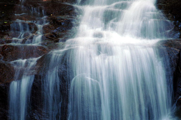 f0112087_1729226.jpg