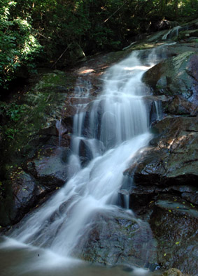 f0112087_17324488.jpg
