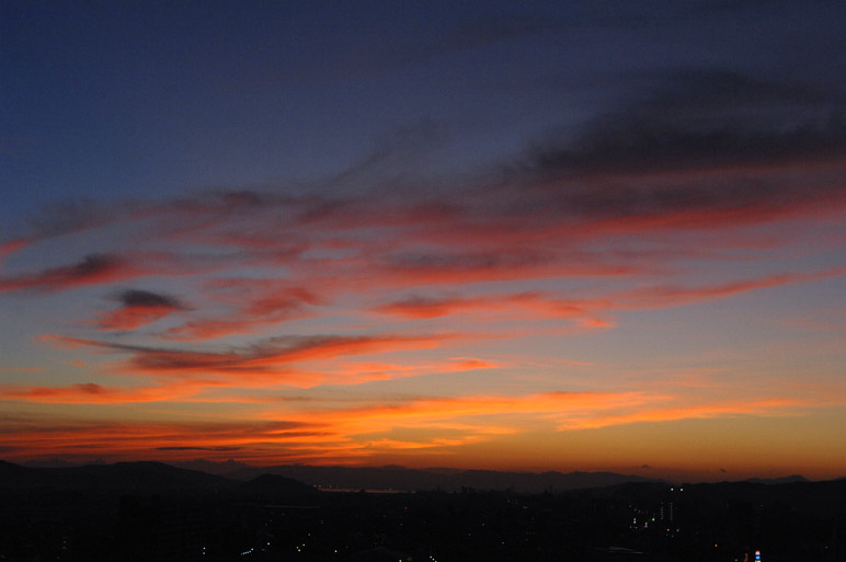 f0112087_17384556.jpg