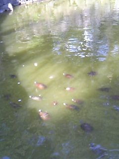 c0042491_1962884.jpg
