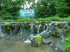 a0088896_17595639.jpg