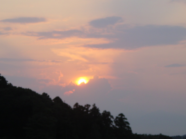 b0083902_16273762.jpg