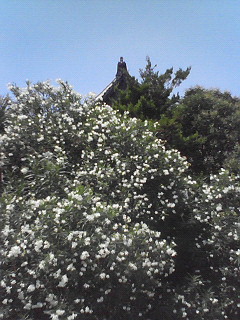 c0050708_12465822.jpg