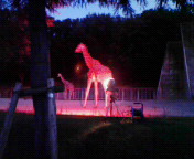 f0041113_0106100.jpg