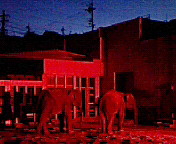 f0041113_010684.jpg