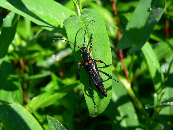 e0002314_2153198.jpg