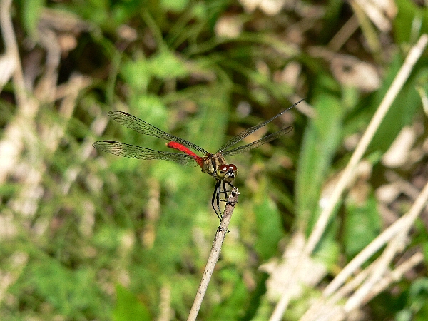 e0002314_21581696.jpg