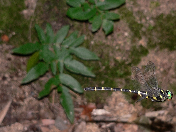 e0002314_2201585.jpg