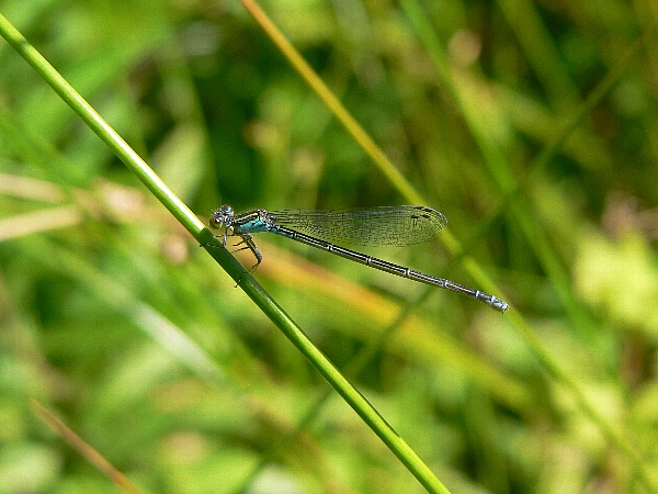 e0002314_2205435.jpg