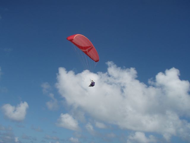f0116314_132197.jpg