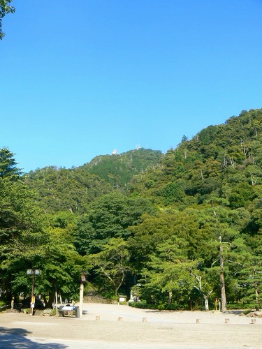 e0075015_3435870.jpg