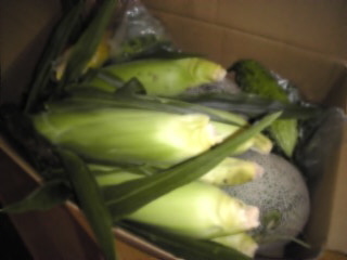 e0113915_1446224.jpg