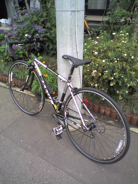 c0129317_14563394.jpg