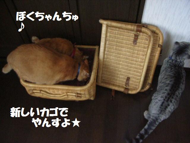 d0081025_2113239.jpg