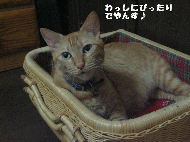 d0081025_21141748.jpg