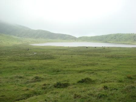e0024126_2226736.jpg