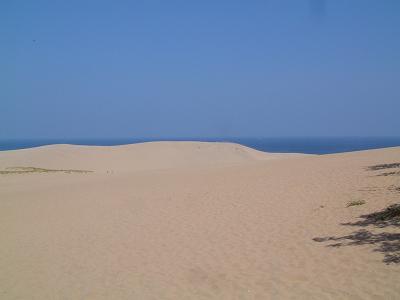 f0111926_8142991.jpg