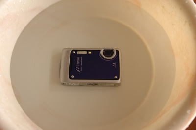 e0064128_10345885.jpg