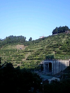 e0110038_2304157.jpg