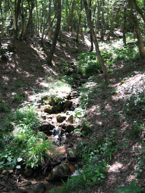 e0110940_8145829.jpg