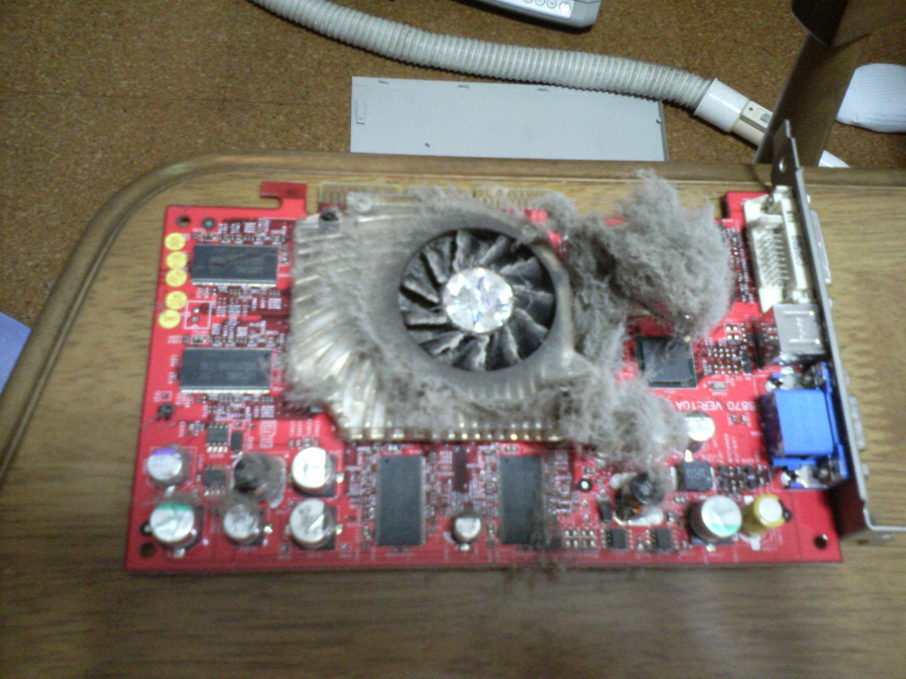 f0127441_20213744.jpg
