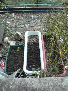 f0016345_2320010.jpg