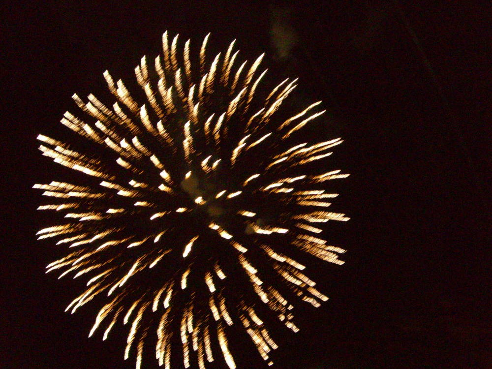 b0039246_21234495.jpg