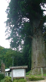 c0116848_1642538.jpg