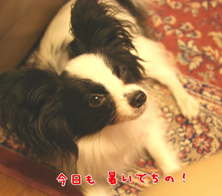d0013149_1552177.jpg